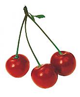 .::VisNe::. - ait Kullanıcı Resmi (Avatar)